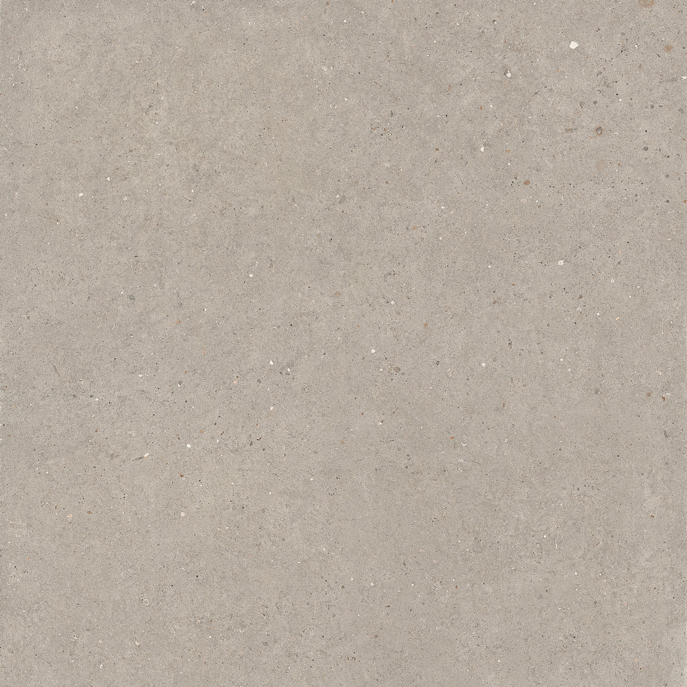 Suite Stone